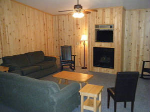 Living room with Hide-a-Bed couch, regular couch, rocking chairs and living room chairs.  Gas Fireplace; High Definition Cable TV with DVD/VHS players.  There is also a Sunroom located at the opposite end of the cabin with additional living room type seating.  