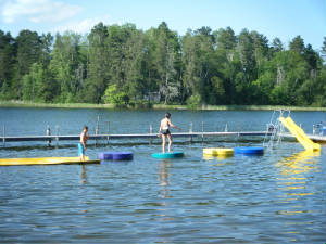 paradise_pad_Lilly_Pads.jpg