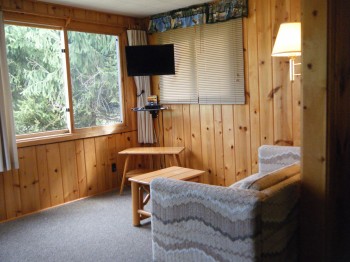 CABIN_8_East_Side_Living-Room.jpg