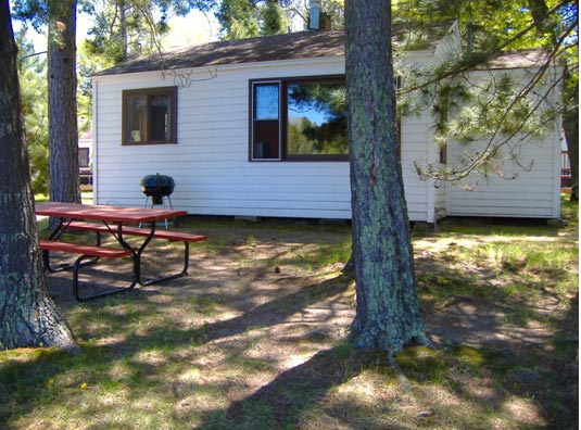 Outside View of Cabin 2 with BBQ grill and Picnic Table